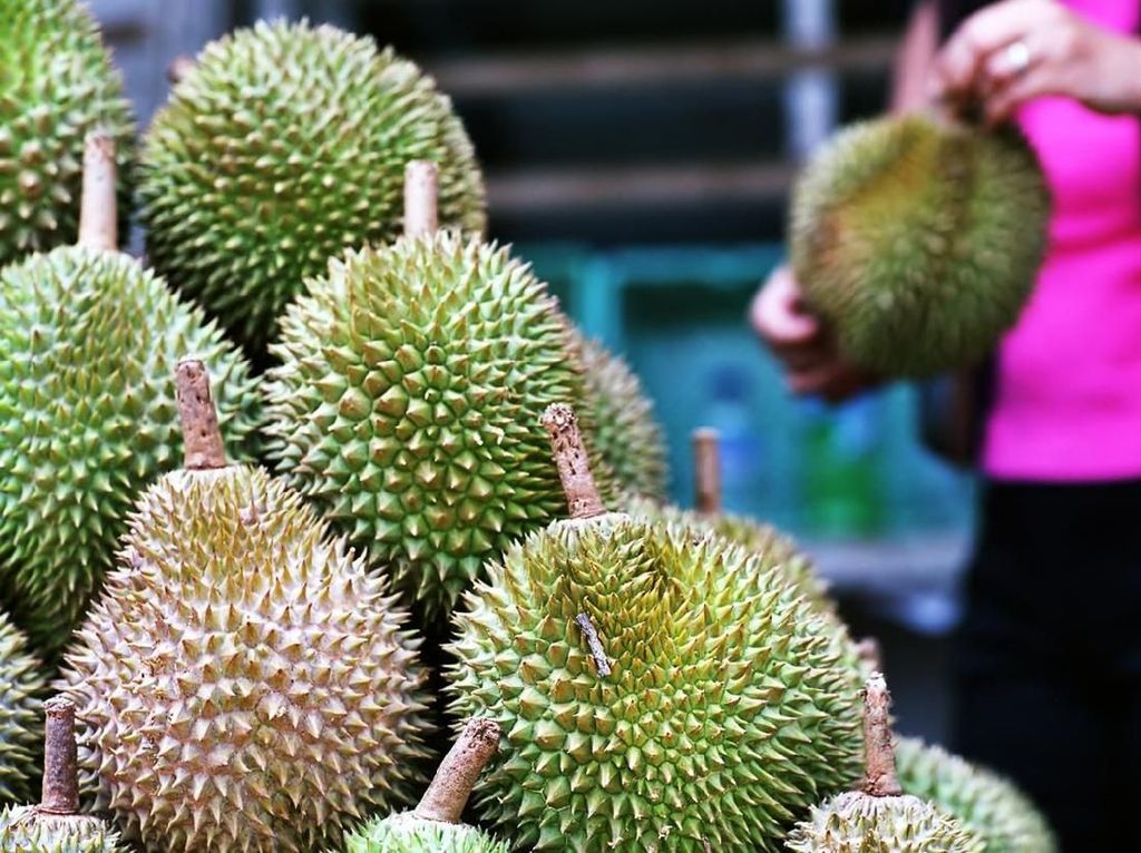Agar Tak Salah Pilih, Ini 5 Tips Jitu Memilih Durian yang Enak